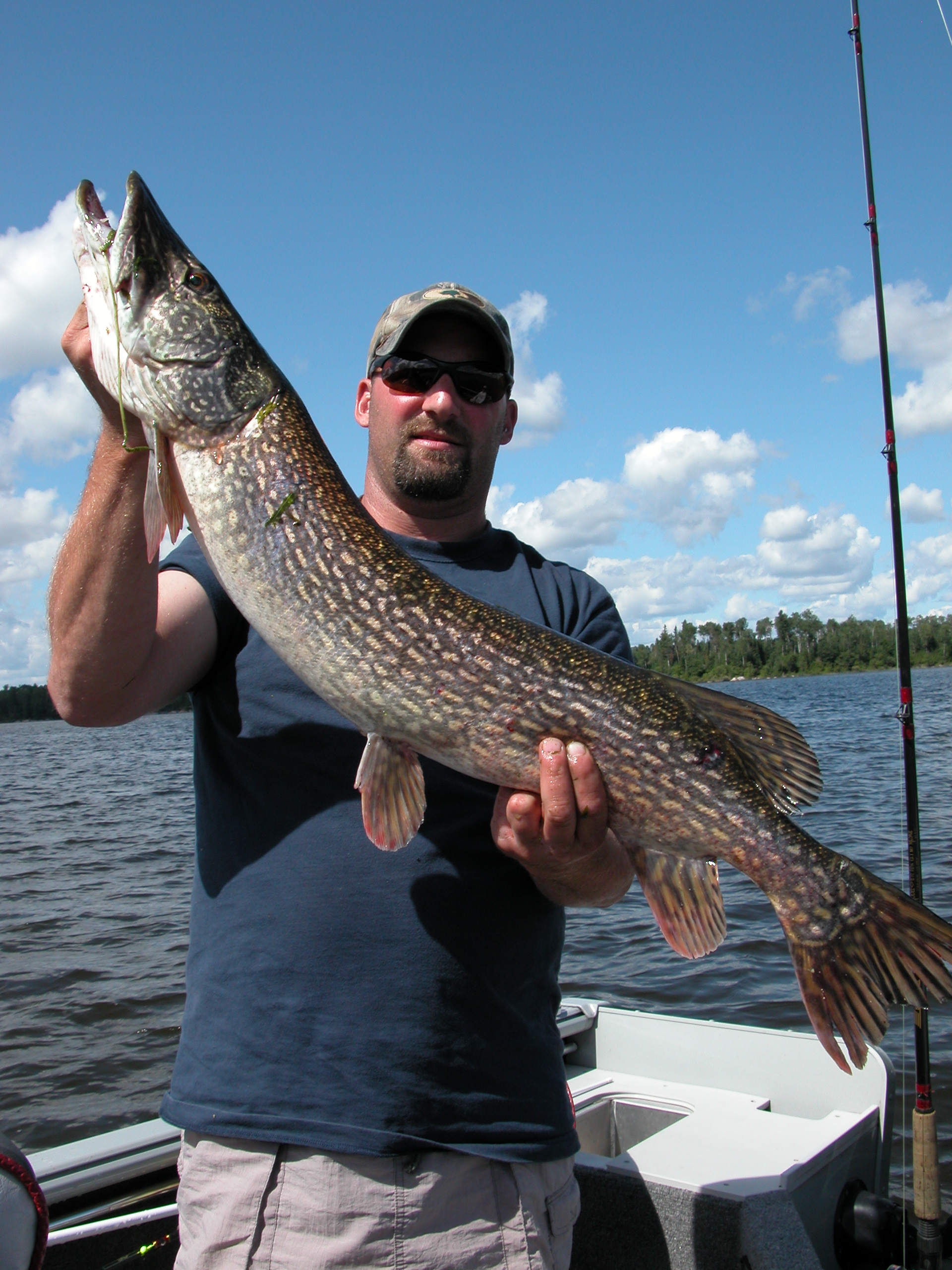 Northern Pike caught at Clay Lake, Northwinds Canadian Outfitters