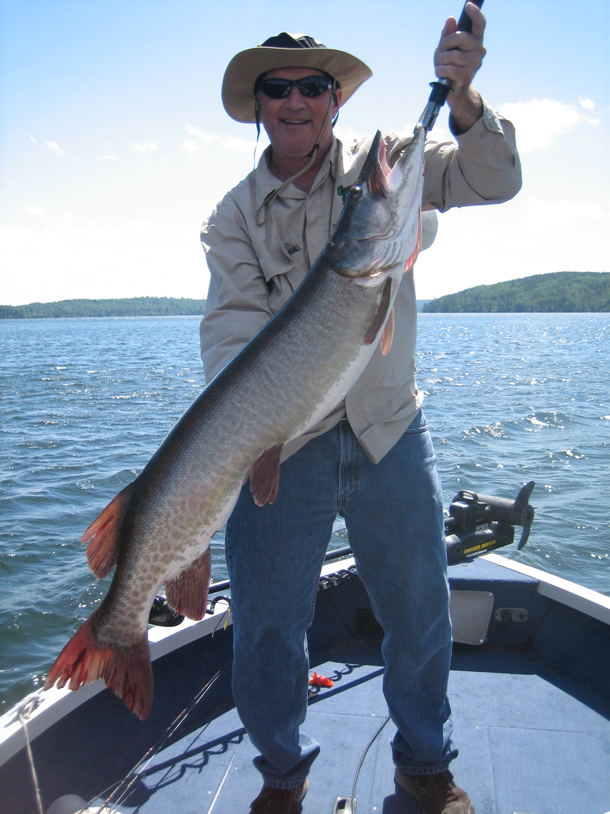 Nice Musky caught on Indian Lake, Northwinds Canadian Outfitters